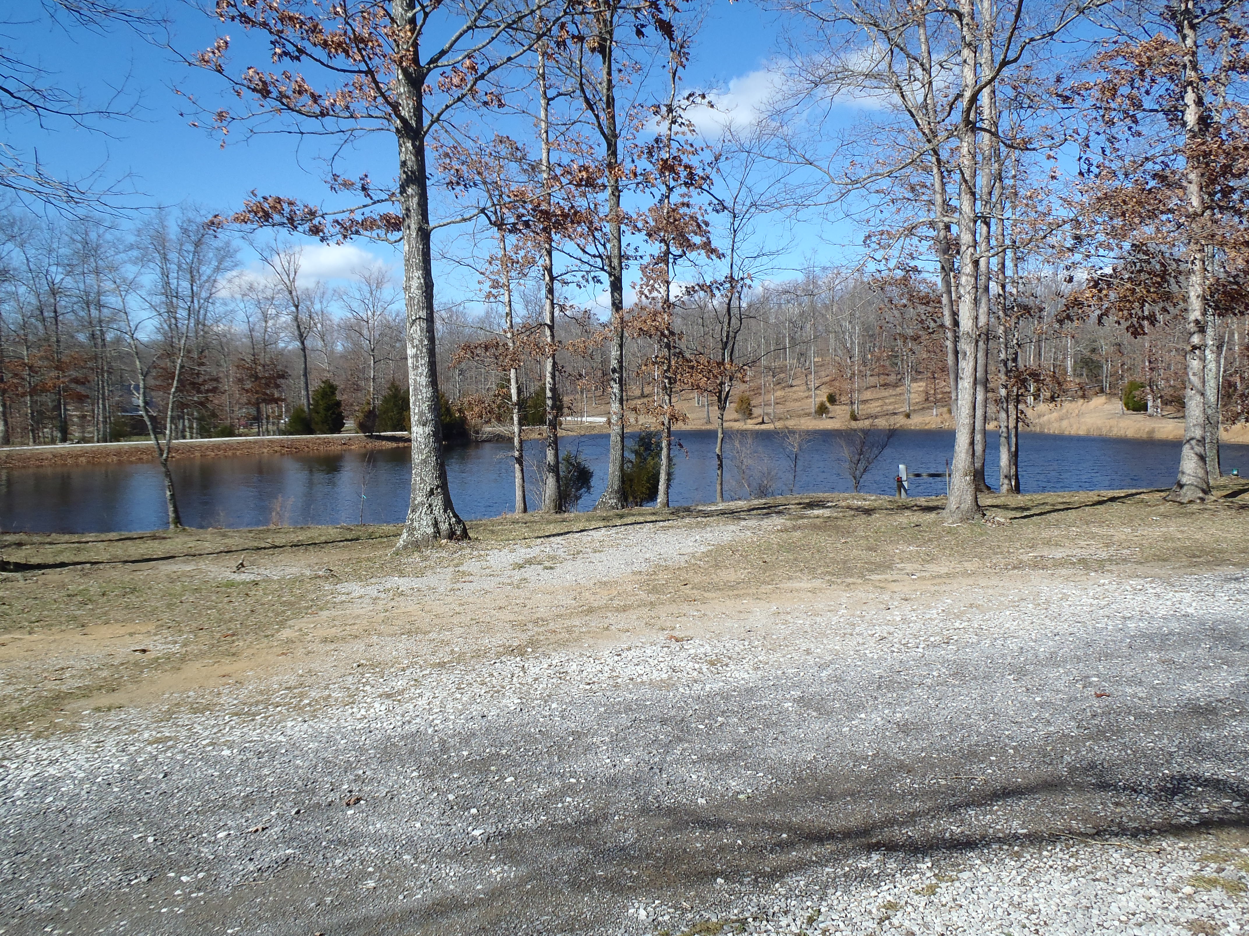 Pond on a sunny day